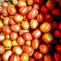 Dataset Image