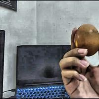 Dataset Image