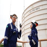 Dataset Image