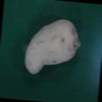 Dataset Image