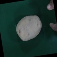 Dataset Image