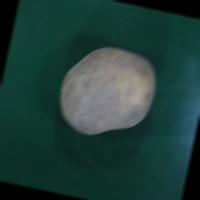 Dataset Image