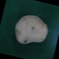 Dataset Image