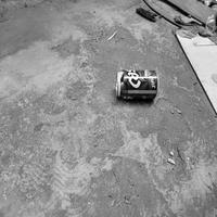 Dataset Image