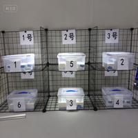 Dataset Image