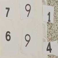 Dataset Image