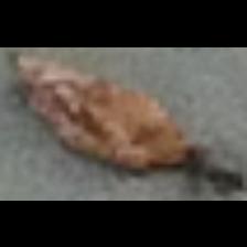 Dataset Image