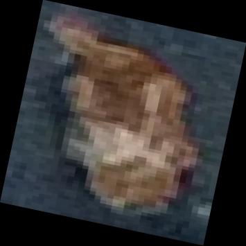 Dataset Image