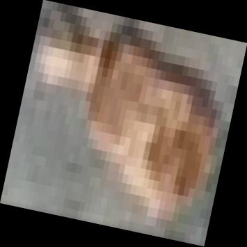 Dataset Image