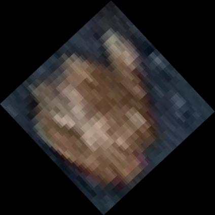 Dataset Image