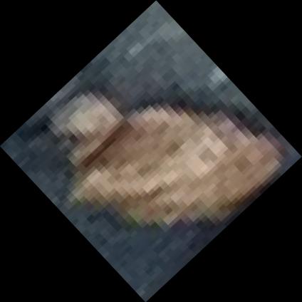 Dataset Image