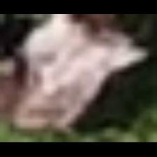 Dataset Image