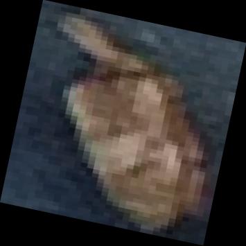 Dataset Image