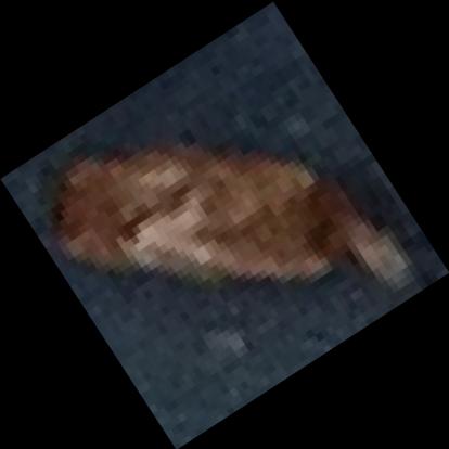 Dataset Image