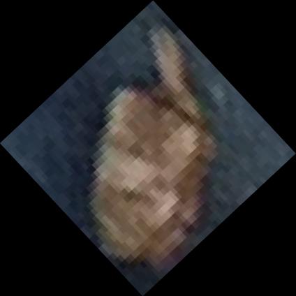Dataset Image