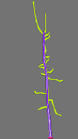 Annotation Visualization