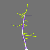 Annotation Visualization