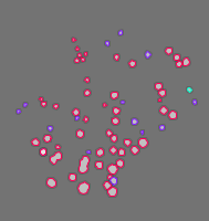 Annotation Visualization