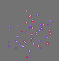 Annotation Visualization