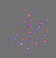 Annotation Visualization