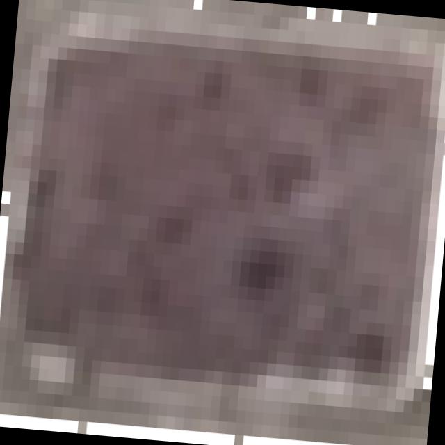 Dataset Image