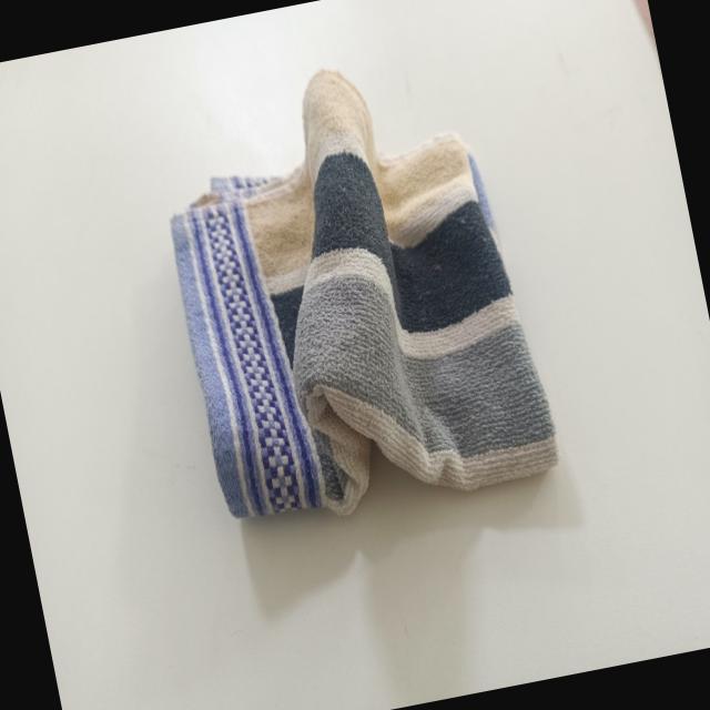 Dataset Image