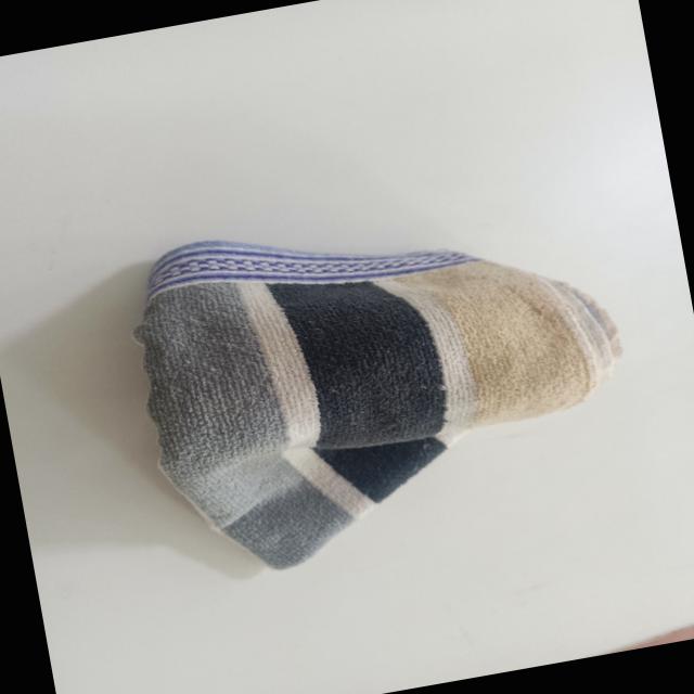 Dataset Image