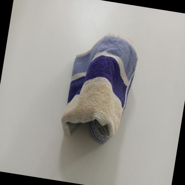 Dataset Image
