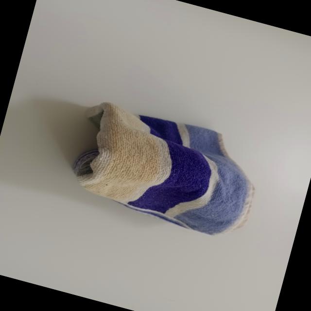 Dataset Image