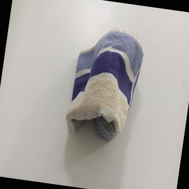 Dataset Image
