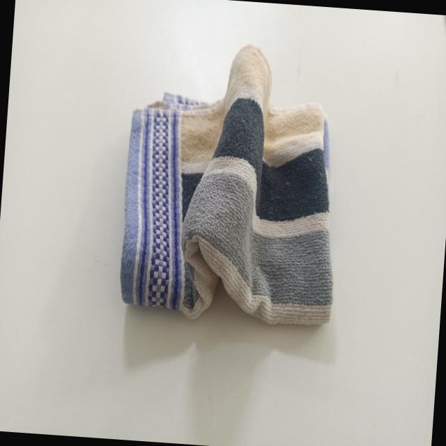 Dataset Image
