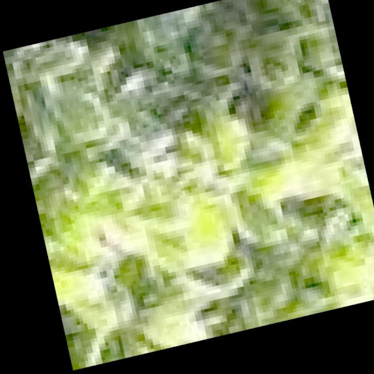 Dataset Image