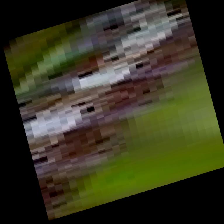 Dataset Image