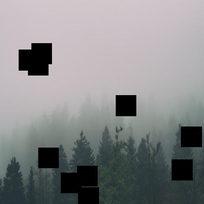 Dataset Image