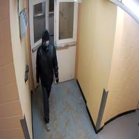 Dataset Image