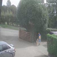 Dataset Image