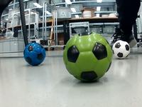 Dataset Image