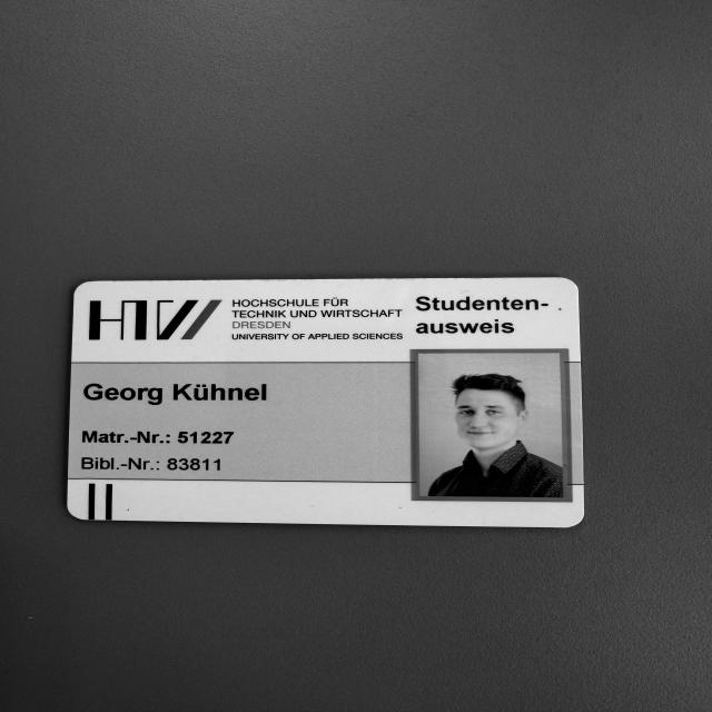 Dataset Image