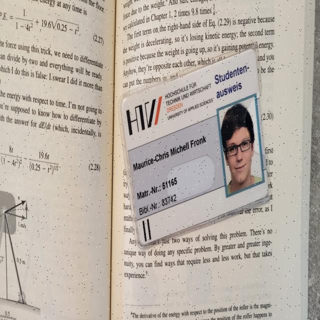Dataset Image