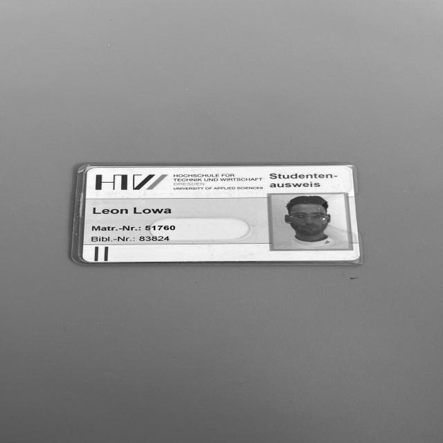 Dataset Image