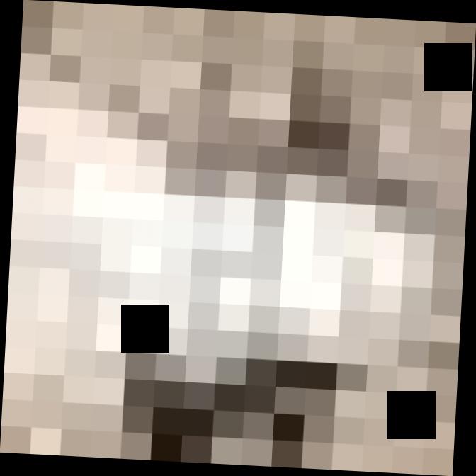 Dataset Image