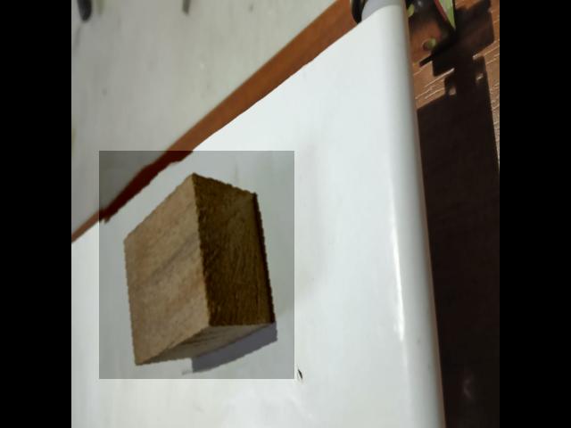 Dataset Image