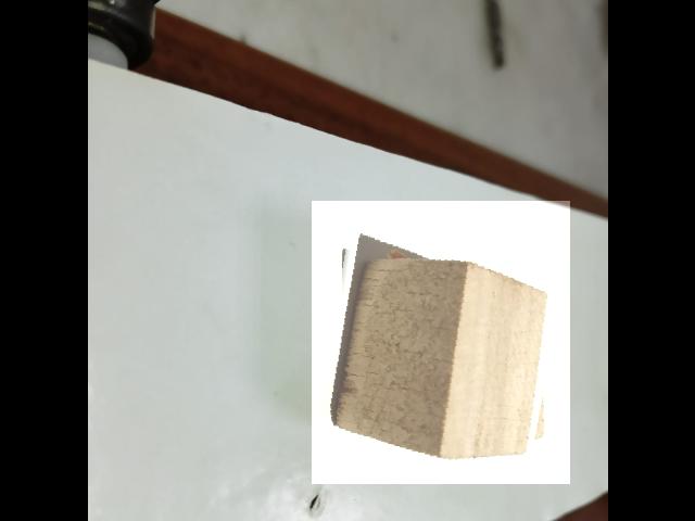 Dataset Image