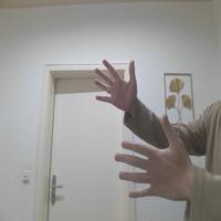Dataset Image