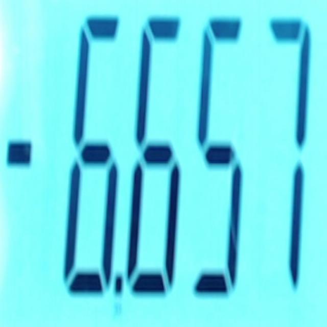 Dataset Image