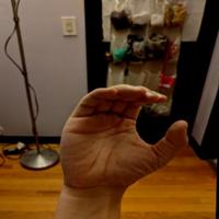 Dataset Image