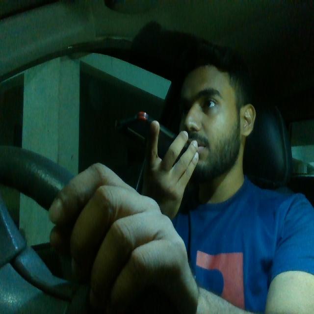 Dataset Image