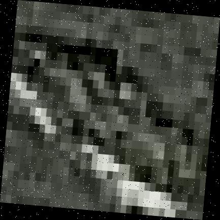 Dataset Image