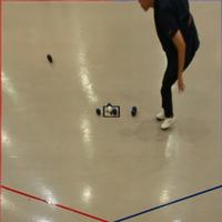 Dataset Image