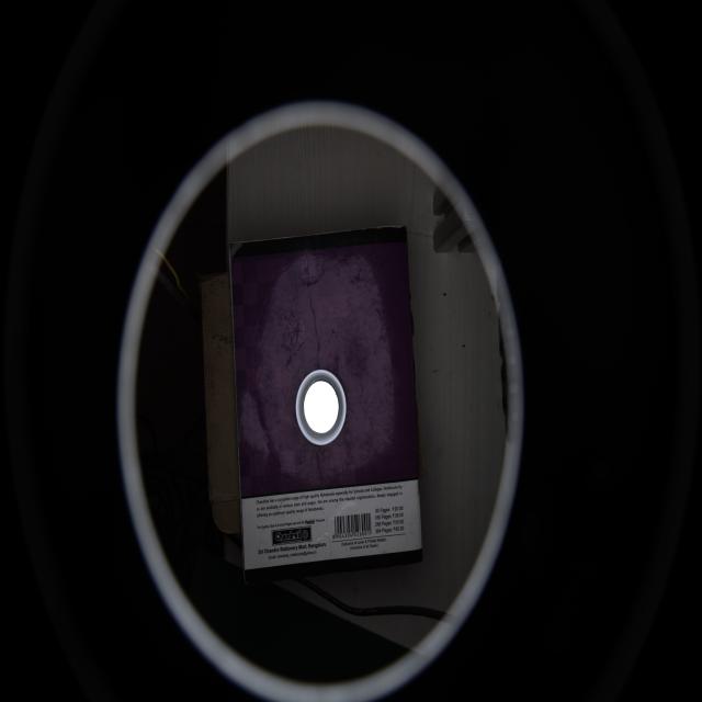 Dataset Image